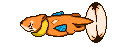 Picapo